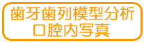 ���厕��͌^���͌��o���ʐ^