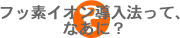 フッ素イオン導入法って何?