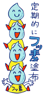 フッ素イオン導入法