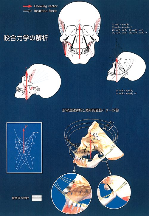 オーラルエンジニアリングシステム