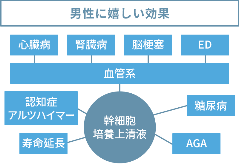 メリット（男性）