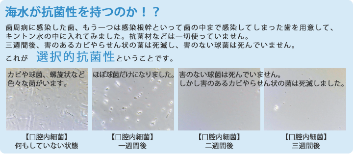 選択的抗菌性
