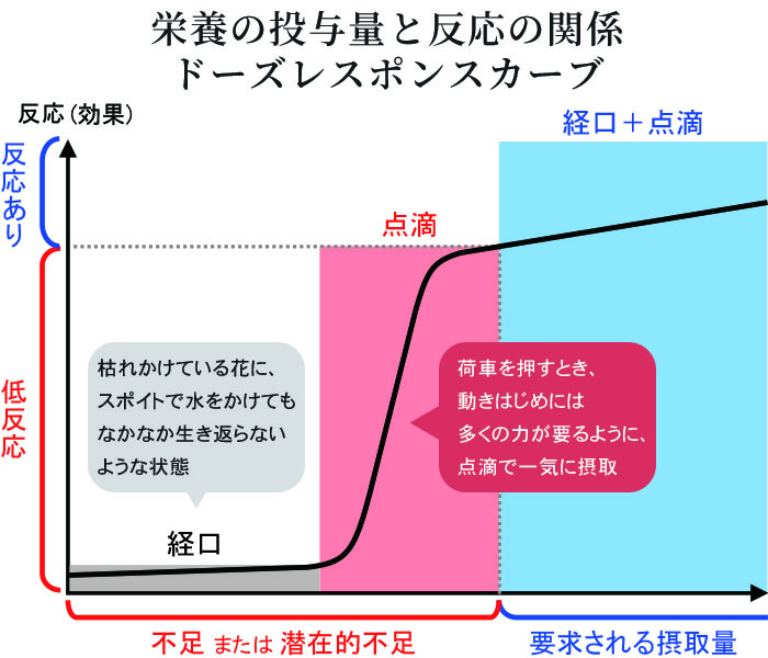 経口摂取と点滴による違い