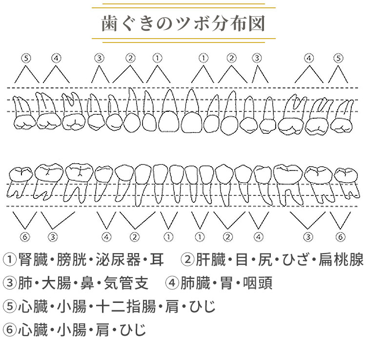 歯肉マッサージ