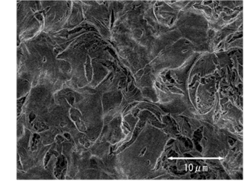 HAコーティングBiO