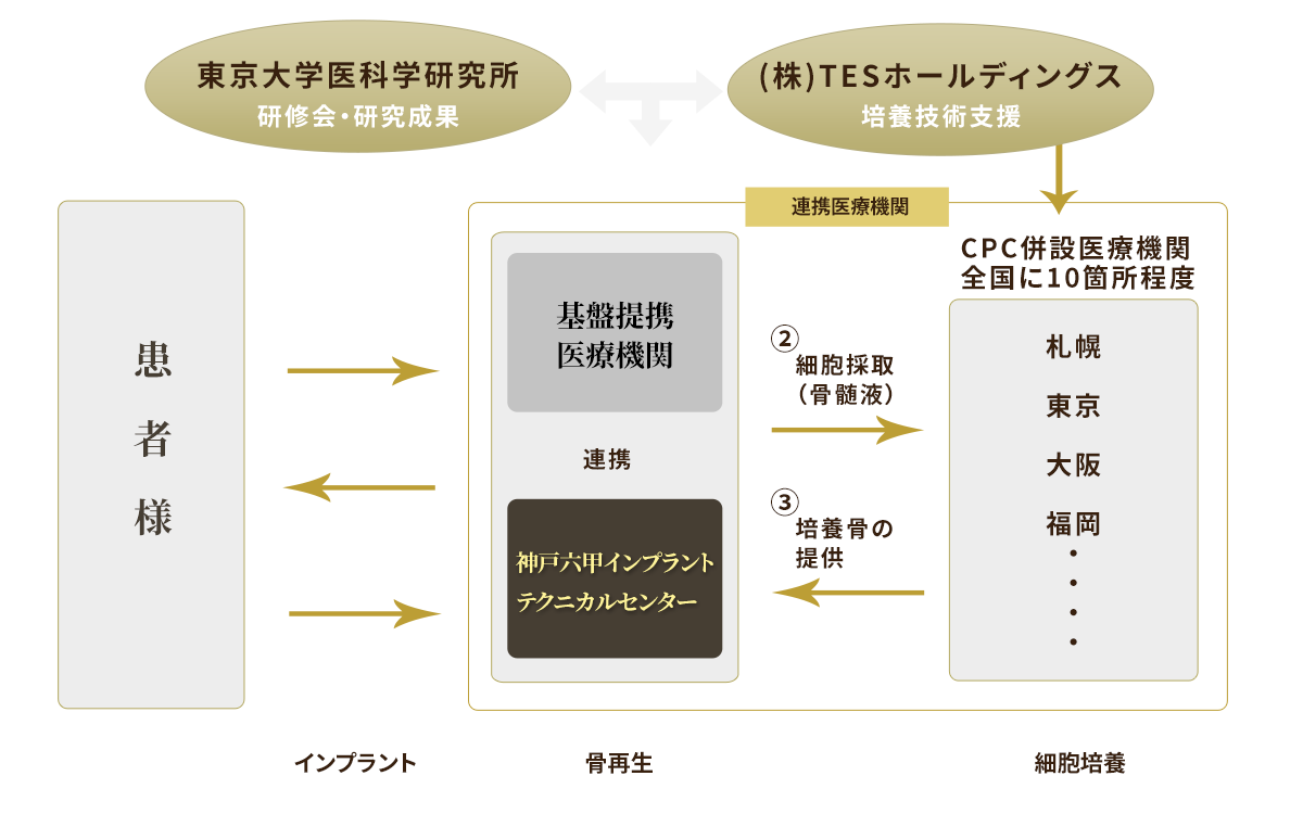 骨再生治療連携体制