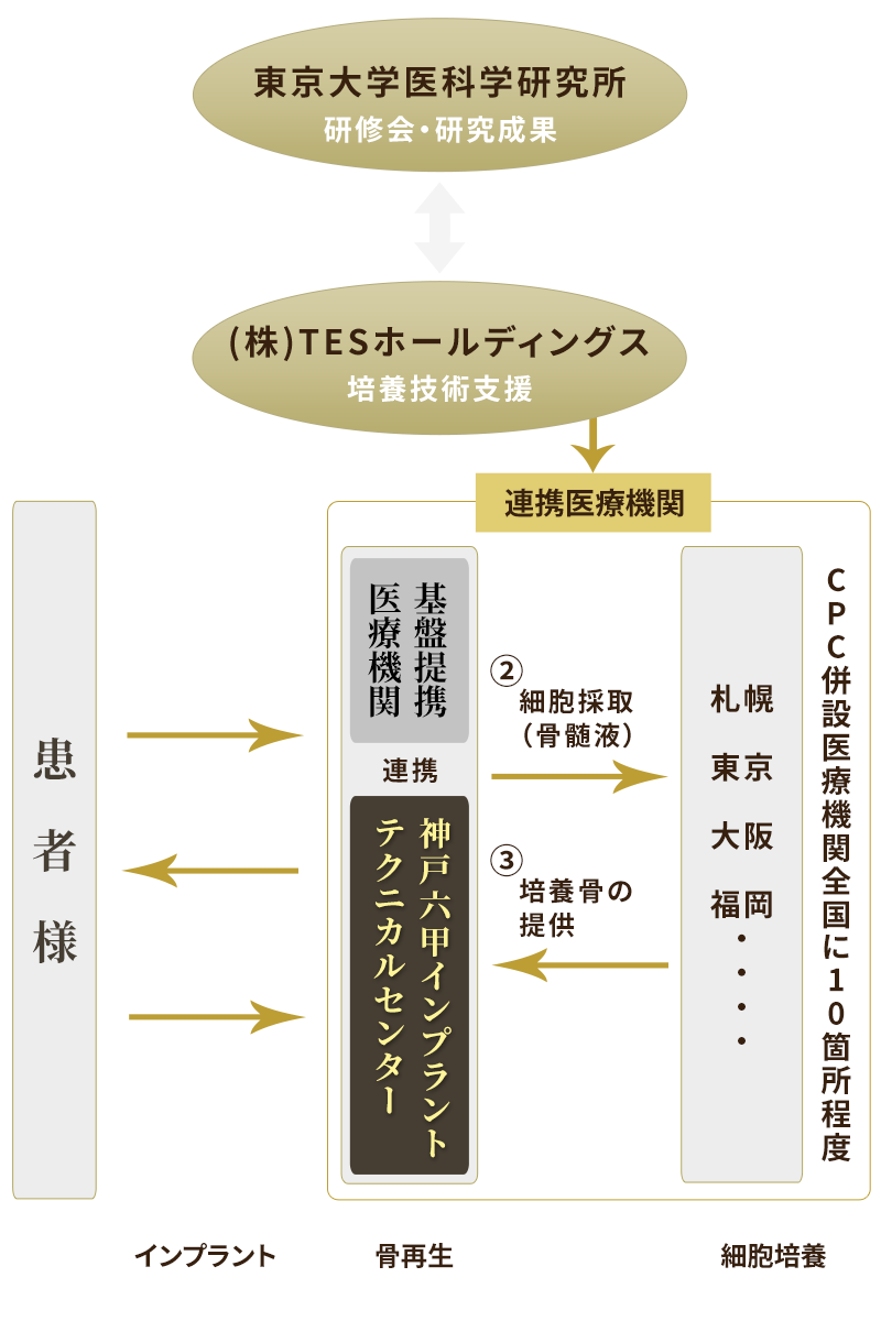 骨再生治療連携体制