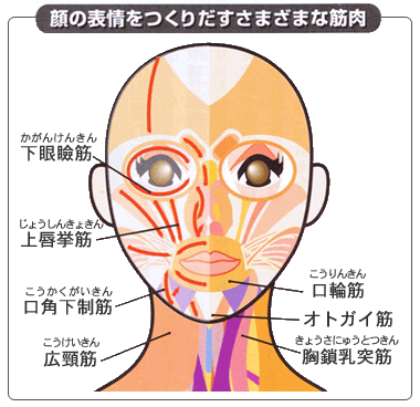 機能的矯正治療